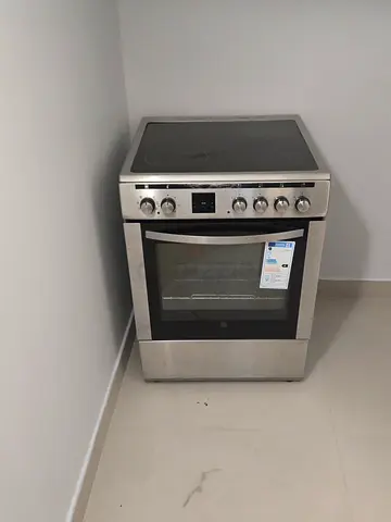 Electric oven