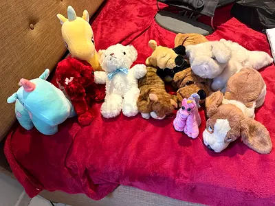 Collection of stuffed toys