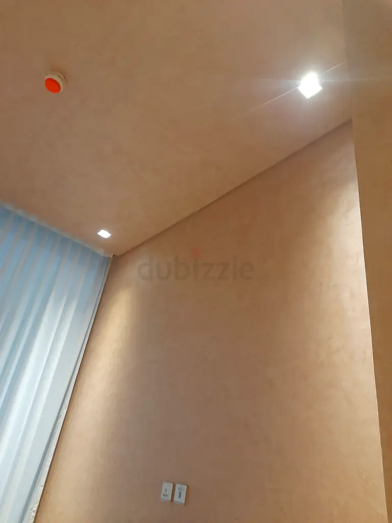 DPV_View_Image_2
