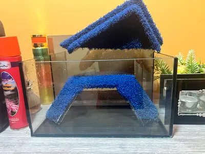 Turtle aquarium