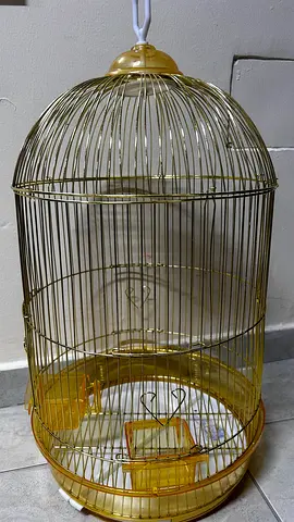 Bird cage