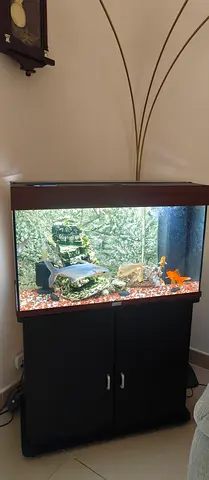 Juwel RIO 125 Aquarium