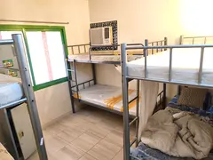 BACHELOR BED SPACE AVAILABLE IN KARAMA