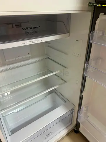 Samsung 388L Refrigerator (Model: RT50CG6404S9AE)