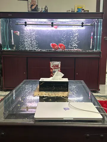 180 cm Monster Fish Aquarium for sale