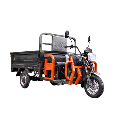 Cargo Tuk Tuk 1.6 Mtr Electric 3 Wheels Off Road Scooter Trolley - Assorted
