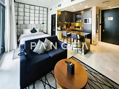 Bills Included | Furnished | Large Layout