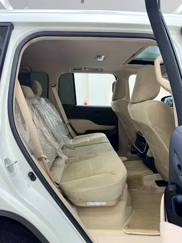 2025 Toyota LAND CRUISER 照片 18