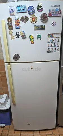 Samsung Double Door Refrigerator in White