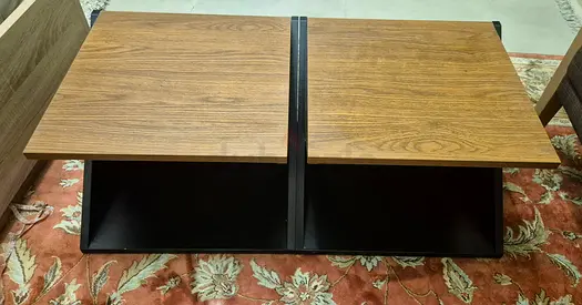 Modern Two-Compartment Coffee Table with Wood Finish