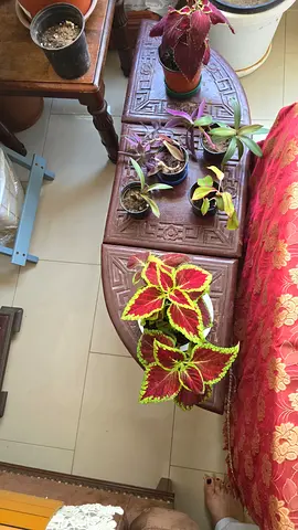 3 Table
