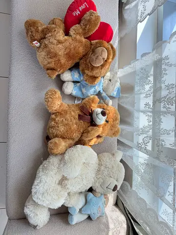 Teddy bear