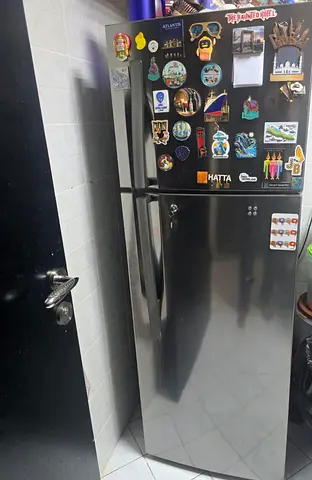 LG 280L Double Door Refrigerator for Sale!