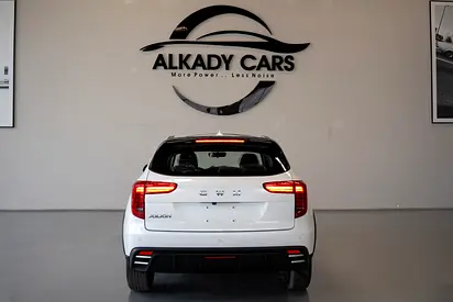 Haval Jolion Luxury, миниатюра 6
