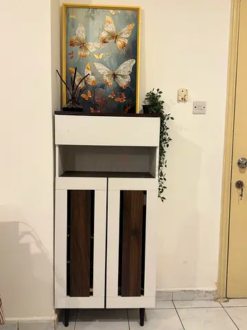 Shoe cabinet