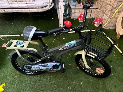 Grey Boys Bike