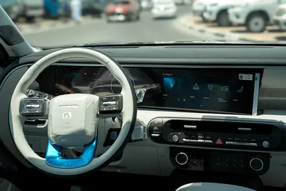 Hyundai Palisade Calligraphy, миниатюра 20