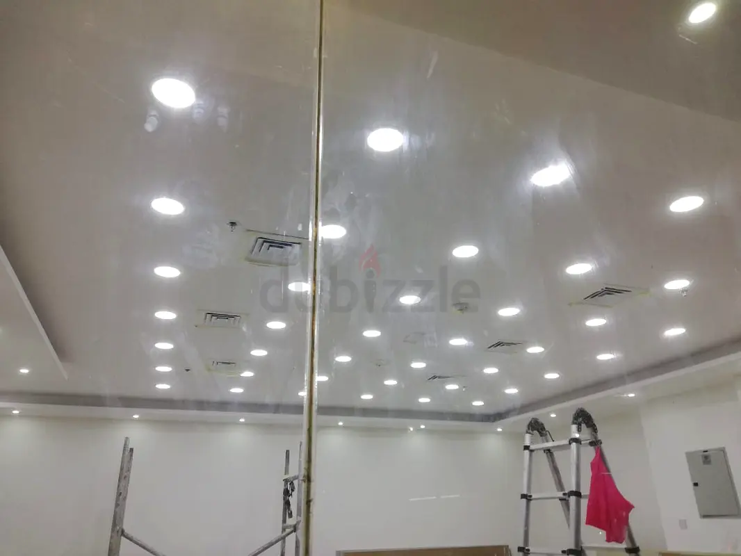 DPV_View_Image_2