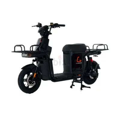 Electric Scooter Kugoo T3 Electric Scooter
