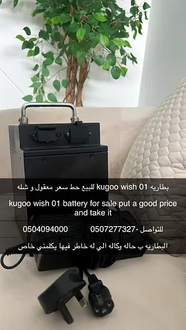 KUGOO WISH 01 BATTERY