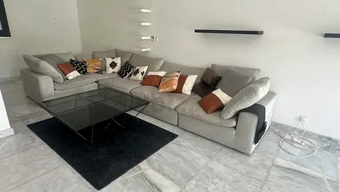 Comfortable Pan Home Modular Living room Sofa feather 🪶 filled