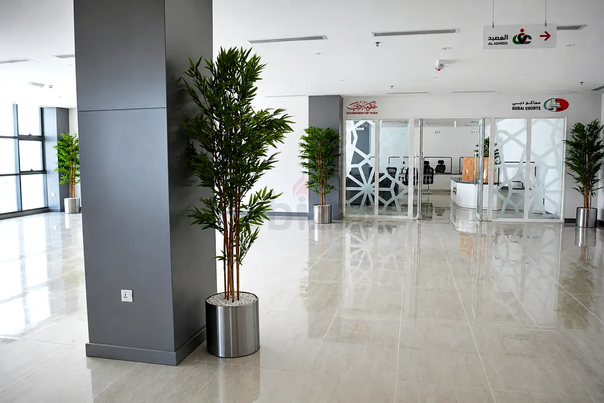 DPV_View_Image_3