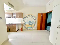 Luxurious studio apartment with wardrobe separate kitchen