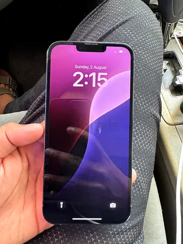 iPhone 13 Pro Max 256GB