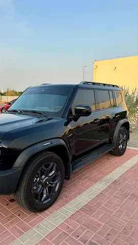 Jetour T2 2.0L 4WD, миниатюра 9