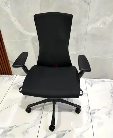 Herman Miller Embody Chair