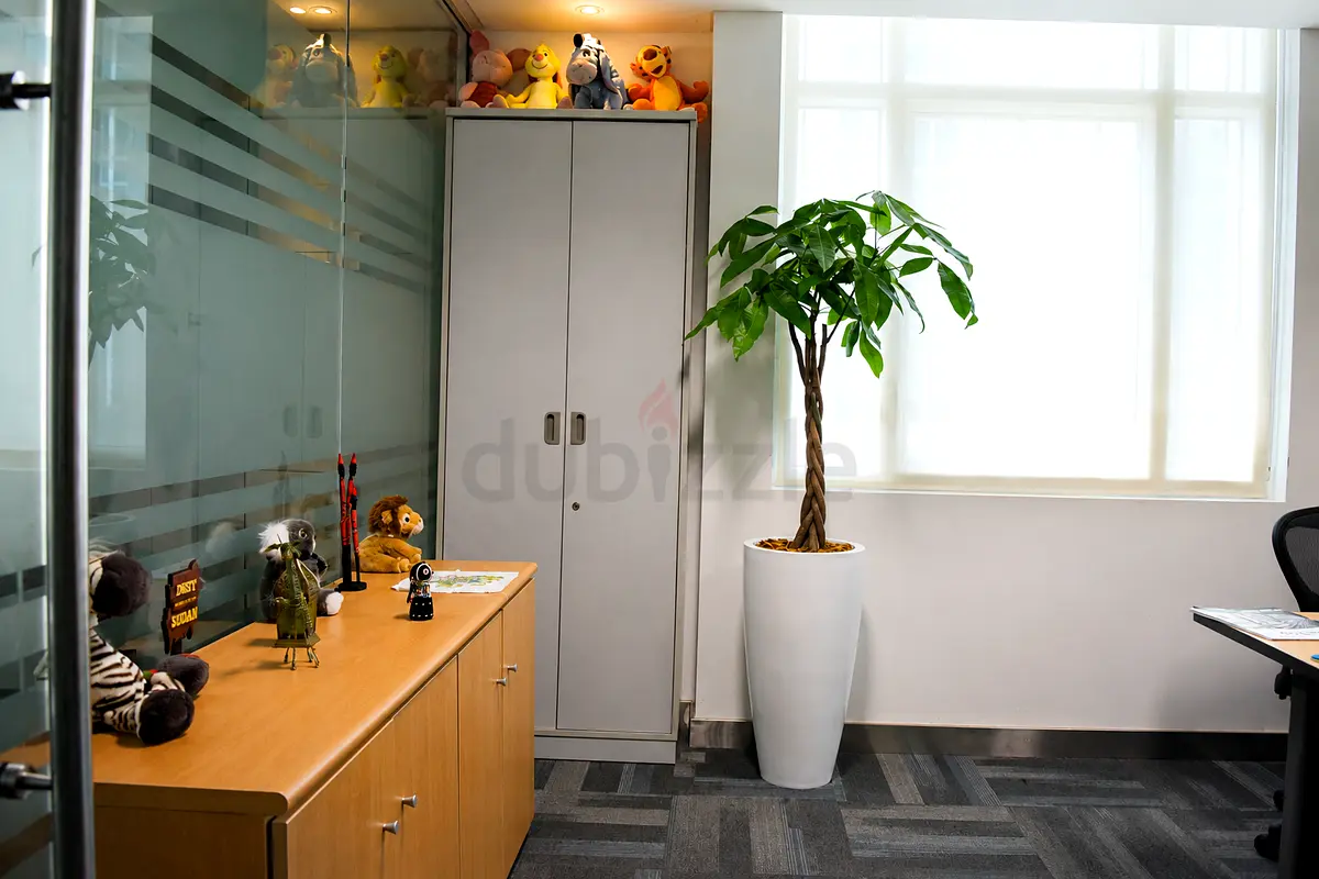 DPV_View_Image_4