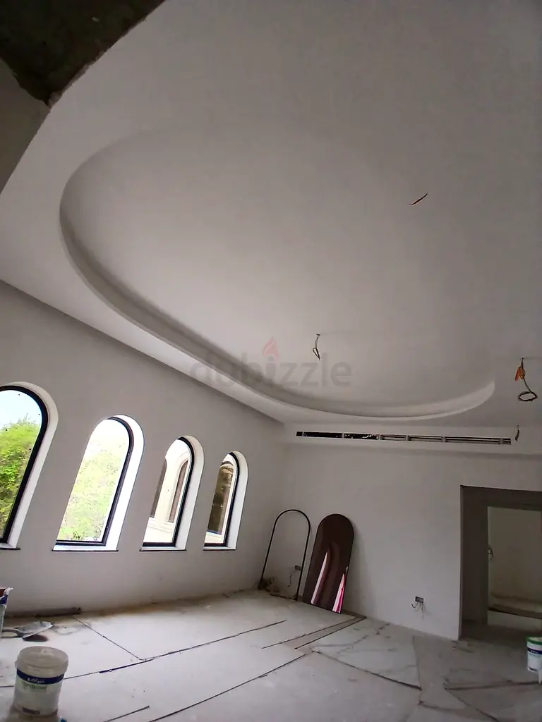 DPV_View_Image_2