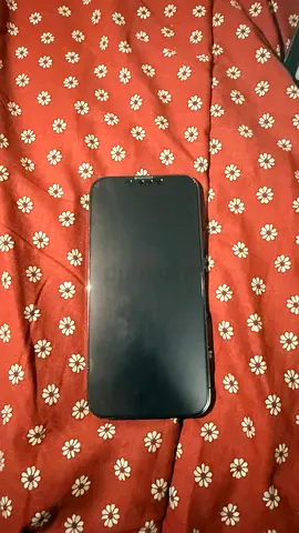 iPhone 13 Pro - 256 GB