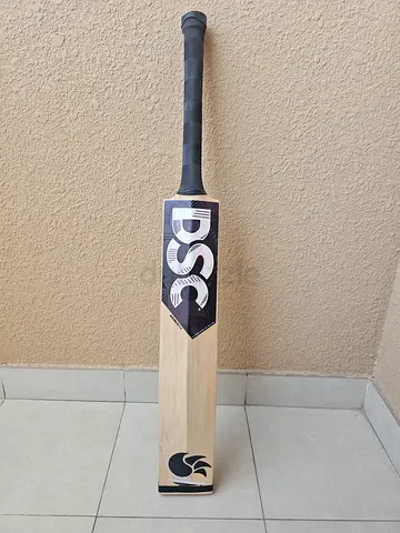 DSC harless Kashmir willow cricket bat