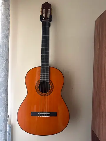 Classic Acoustic Guitar