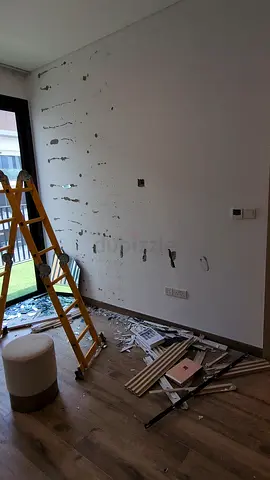 Wall painting for villa and apartment