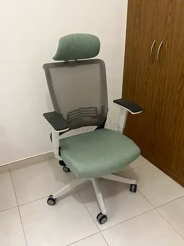 Ergonomic Office Chair with Mesh Back and Headrest