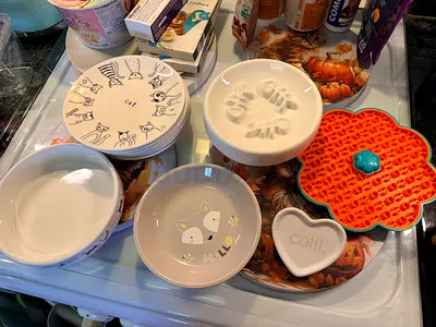 Premium 11pc Ceramic Cat Bowl Bundle (Slow Feeder, Elevated Plate, Sets)