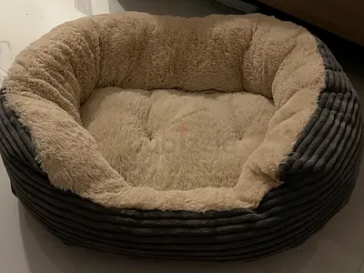 Rosewood dog bed in Rak