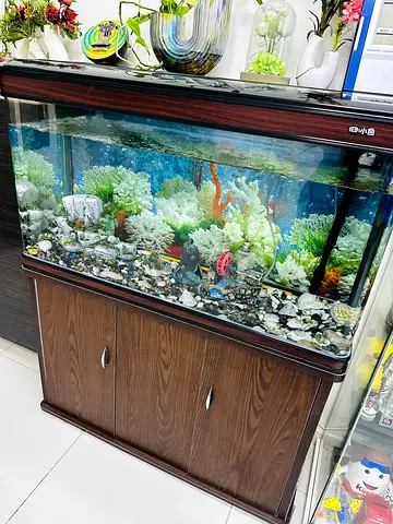 Aquarium