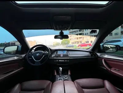 2012 BMW X6 缩略图 11