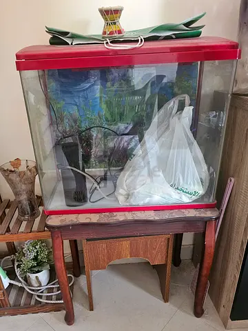 Medium glass aquarium with stand and accessories