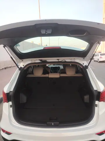 2018 Hyundai SANTA FE 缩略图 12
