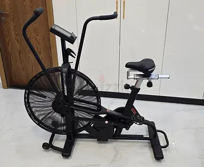Assault Airbike cycle exercise