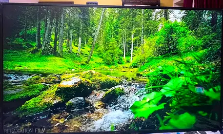 Sony 65” 4K TV 65X800G