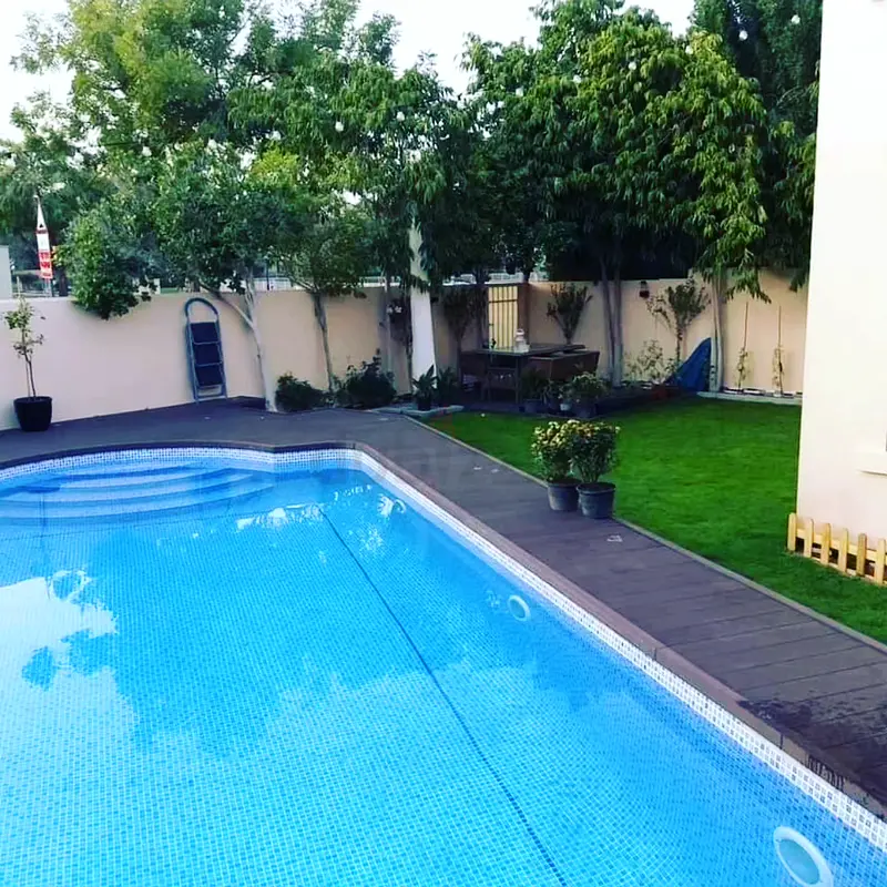 DPV_View_Image_2