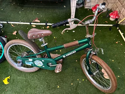 Green Boys Bike