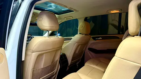 2019 Mercedes-BENZ GLS 缩略图 9