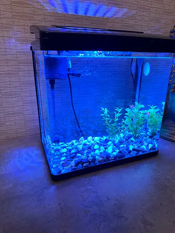 Aquarium