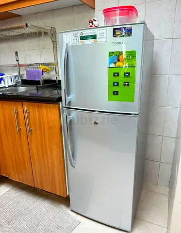 Bompani 240L fridge